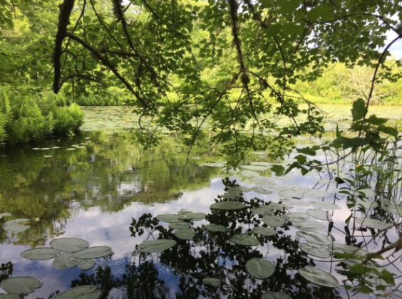HOPE AND CONSERVATION